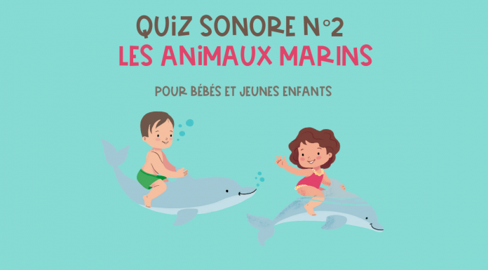 Quiz sonore n°2 – Les animaux marins